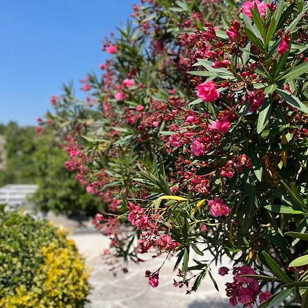 Villa Manzo Relais -Pompei Vesuvius Boscotrecase Экстерьер фото